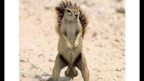 VGMaps -- How to Upload a Map to VGMaps.com owner Jon Leung - Update