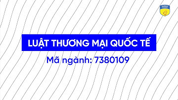 Ngành Luật thương mại quốc tế HUTECH