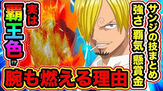 ワンピース考察 サンジvsマゼラン勃発 麦わらの一味と最強の監獄所長が激突 One Piece考察 ワンピース 考察 Youtube