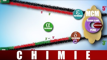 [UE7] REPLICATION DE l