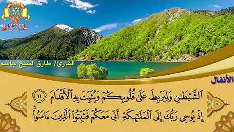 سورة الأنفال   #اكسبلور #المصحف #دويتو #الرحمن #راحة_نفسية #قرآن #قران_كريم #قرآن_كريم 