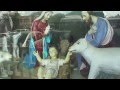 tamil christmas song sakkarai muthe singer yesu nazarane