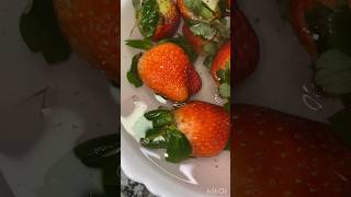 Germs in strawberry??short