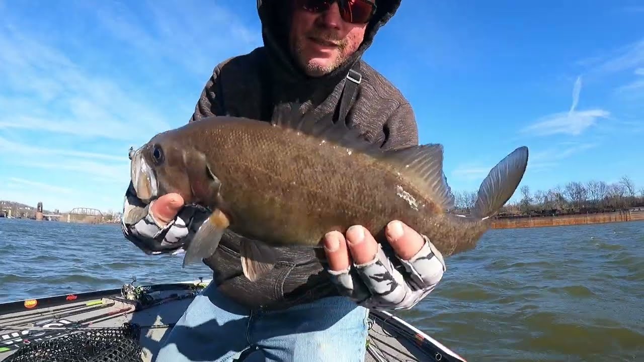 Cumberland River Nashville Smallmouth Winter Bass Fishing/Late December/w/20+winds