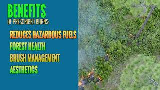 Volusia County Prescribed Burns