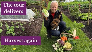 Late season bounty from summer sowings, the possibilities and the key dates
