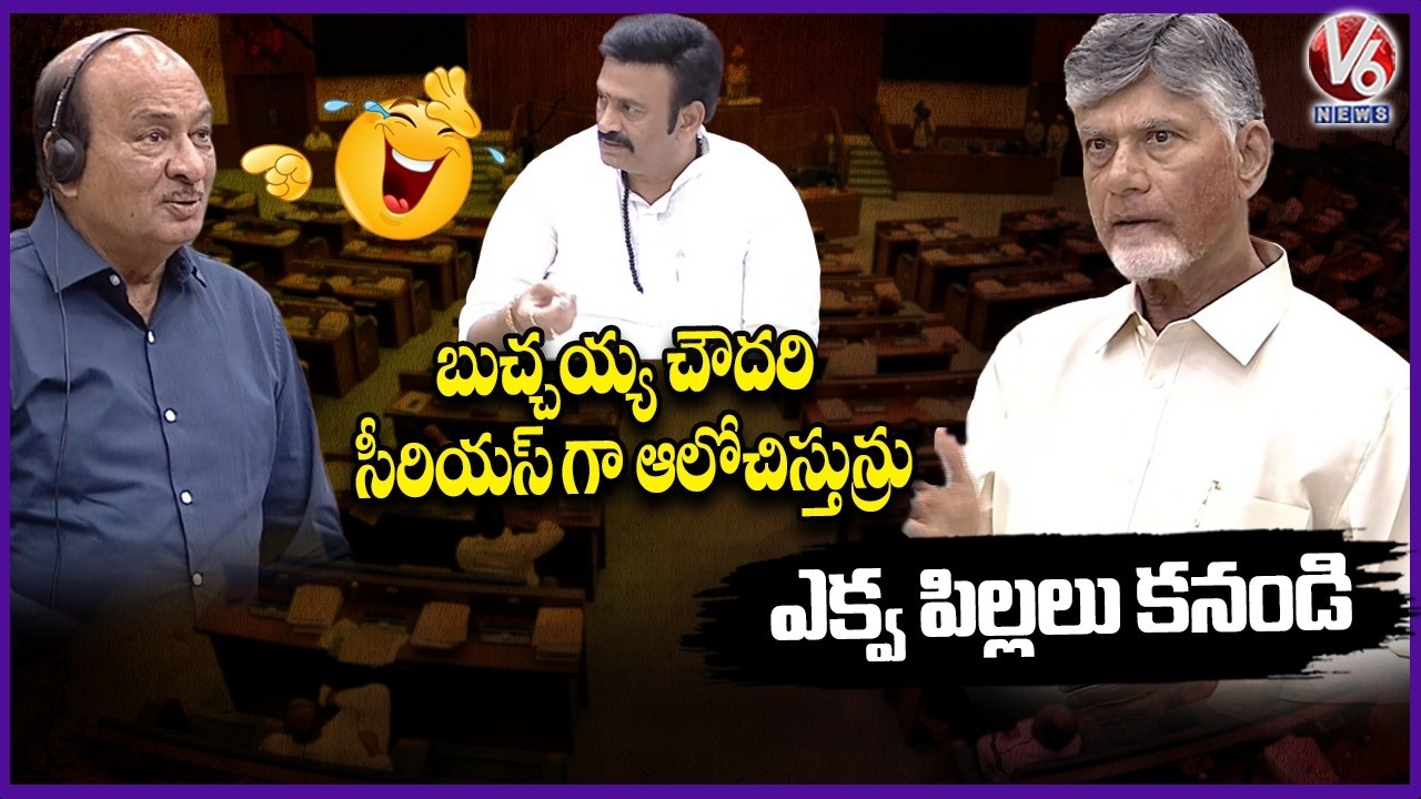 Dy Speaker RRR Making Fun On Butchaiah Chowdary Reaction To CM Chandrababu About Children | V6 News