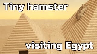 Tiny hamster visiting Egypt ep.2