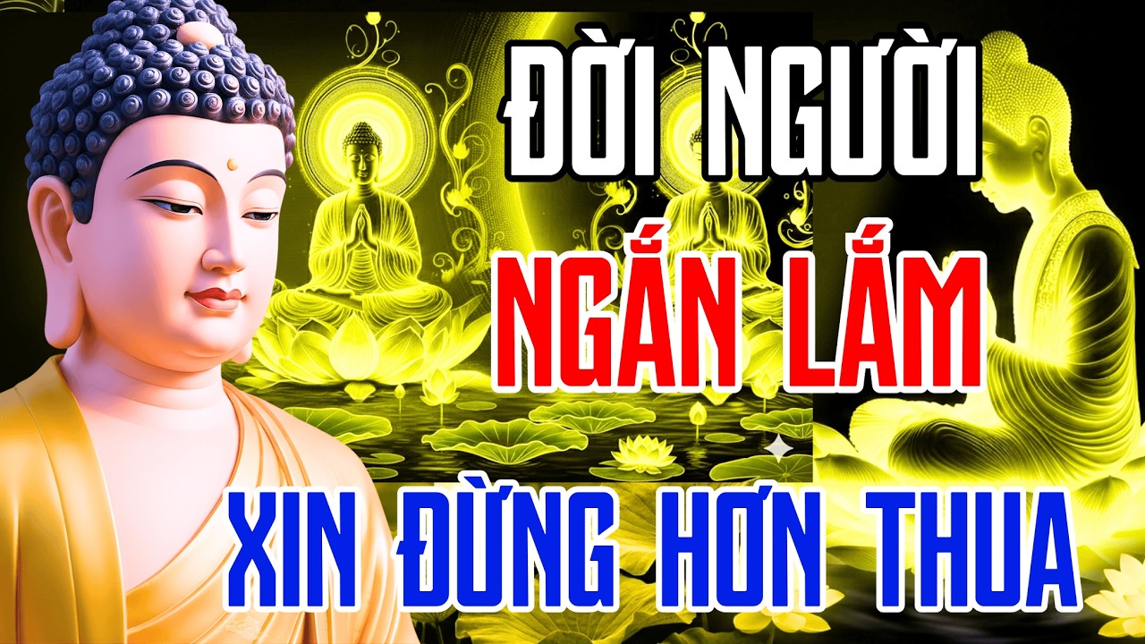 Lời Phật Dạy Về Vạn Sự Tùy Duyên: Nghe Để Thấu Hiểu, Buông Bỏ Khổ Đau, Sống Đời An Nhiên