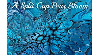 (1508) Split Cup Pour and Bloom, Acrylic Paint Pouring