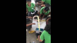 AAIS makes -  Rollercoaster Mania!!