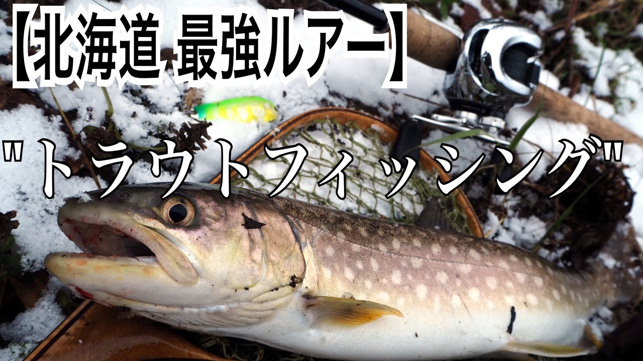 トラウト釣りオススメ最強ルアー‼️カラー選びや使い方教えます