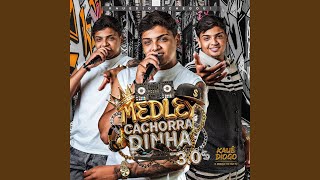 Medley Cachorradinha 3.0: Essa Vai Especialmente para Todas as Menina / Aqui no Baile Funk Bota Elas pra Sentar / Lá Lá Lá Lá Lá Lá / Terror da Sua Mulher / Todo Atrapalhado da Sua Mulher / Todo Atrapalhado - KAUÊ DIOGO