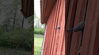 Urlaub Am See In Schweden