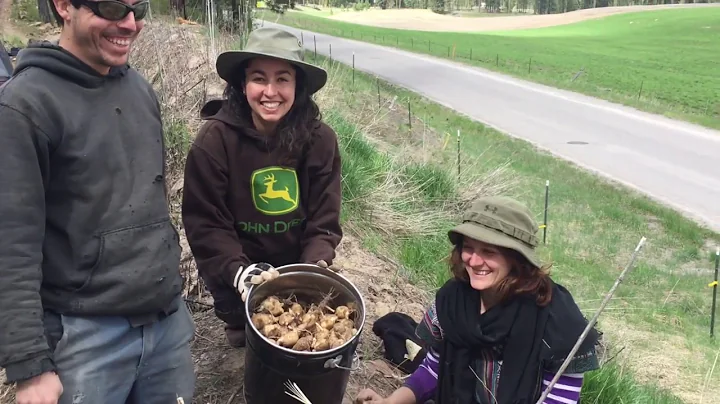 permaculture bootcamp at wheaton labs - paul wheat...