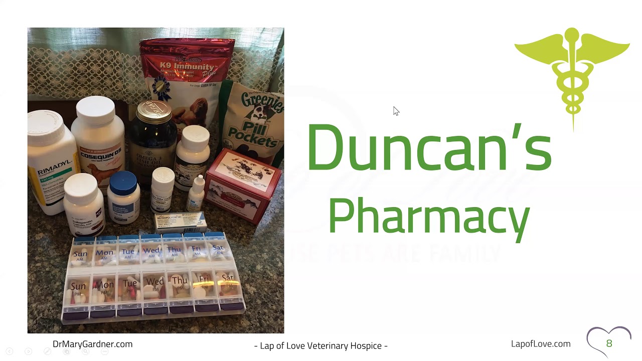 Quality of Life Webinar with Dr. Mary Gardner