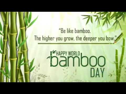 Happy World Bamboo Day...