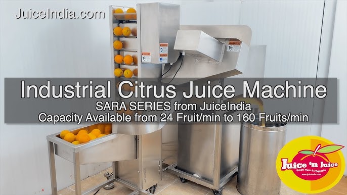 FC-310 Industrial Commercial Fruit Juicer Blender Juice Making