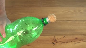 Kid Experiments: Hydro Zoom Rocket | Te Reo Māori | Darwin and Newts