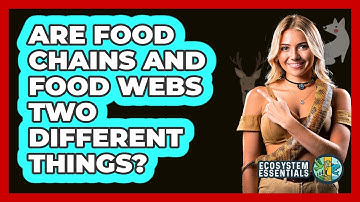 Are Food Chains And Food Webs Two Different Things? - Ecosystem Essentials