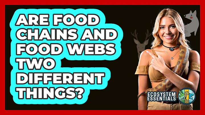 Are Food Chains And Food Webs Two Different Things? - Ecosystem Essentials