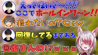 【APEX】まつりちゃんの助っ人として参加するが、ハセシンさんの勢いの良さに大爆笑する秋雪こはく【VEE/秋雪こはく/ハセシン/夏色まつり】