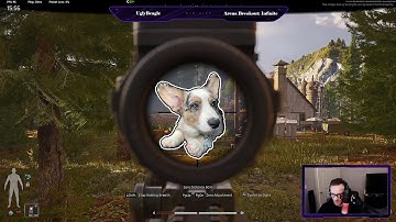 An Ugly Beagle Goes to The Factory - SOLO - Arena Breakout: Infinite