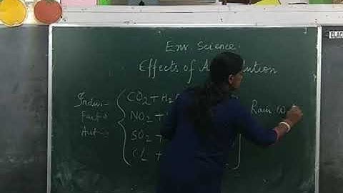 Class 11 Environmental Science Chapter 2 - Pollution - Part 2 - Effects of Air Pollution