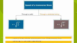Wave Motion