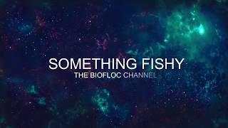 SOMETHING FISHY TRAILER