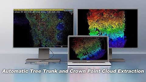 Automatic Tree Trunk and Crown Point Cloud Extraction
