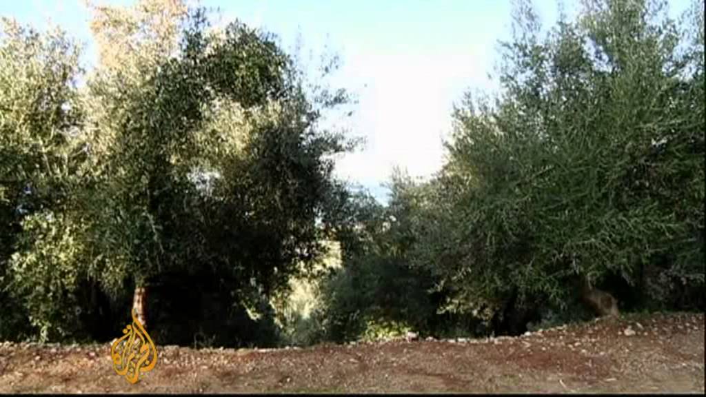المزارعون اليونانيون يتعرضون لظلم في غلة المحاصيل