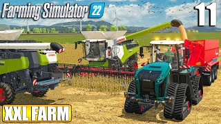 FIRST BIG SOYBEANS HARVEST  150.000l | The XXL FARM  Timelapse #11 | Farming Simulator 22