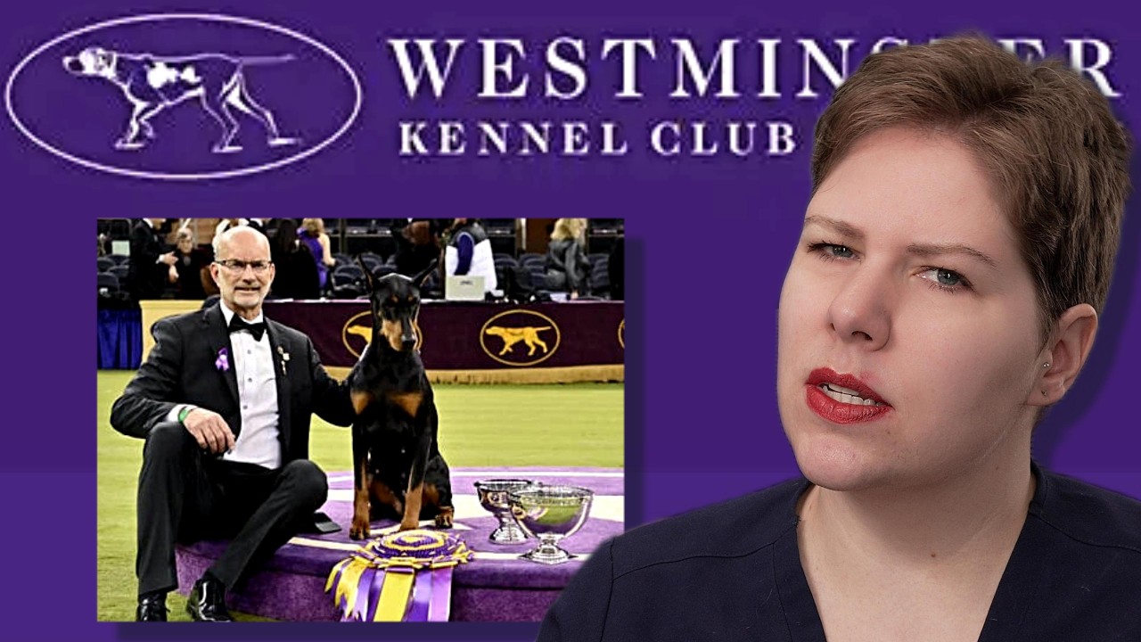 Cropping & Docking: What You Need to Know | Vet’s Voice