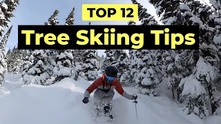 How To Ski Trees  12 Tips To Improve Your Tree Skiing