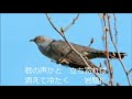 高原の旅愁・・・カラ