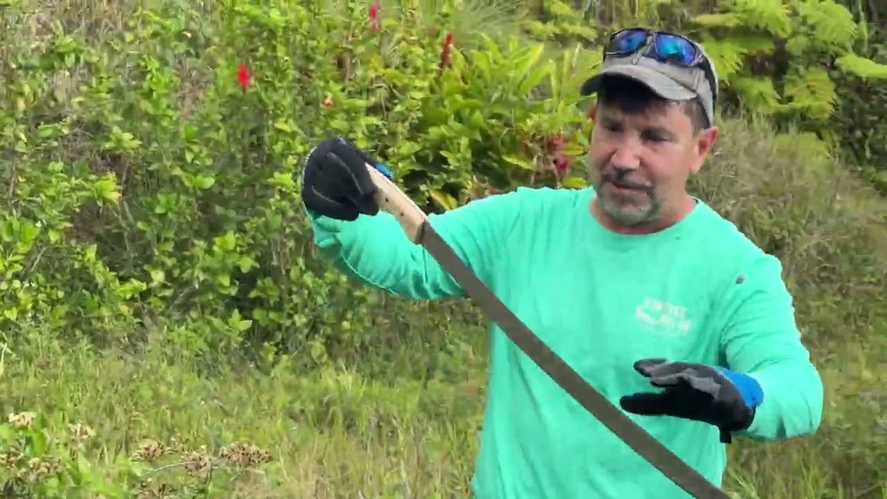 COMENZANDO EL PROYECTO