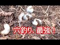渓流釣り2023ファイナル!やっぱり、穴釣りが最強でした!
