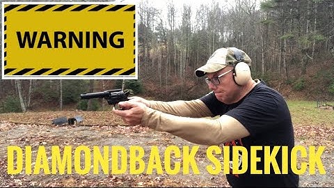 Cover Image for Diamondback Sidekick WARNING, great pistol, but don’t do this.