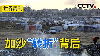 特朗普女婿空降中东，加沙停火协议背后有何商业棋局？袭击卡塔尔、扣押援助船……以色列深陷谴责浪潮！20251012 | CCTV中文《世界周刊》