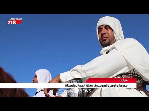 مهرجان الوطن للفروسية في هراوة سباق الجمال والأصالة