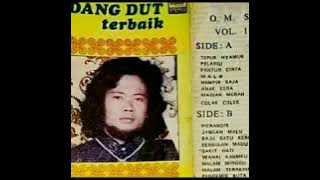 06 RHOMA IRAMA - anak kera