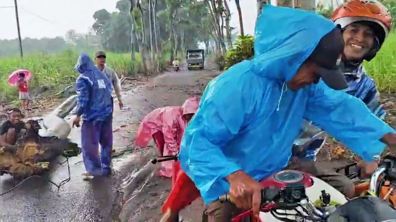Info Sepawon: Pohon Tumbang Akibat Angin di sertai Hujan di 2 Desember 2025 | Desa Sepawon 