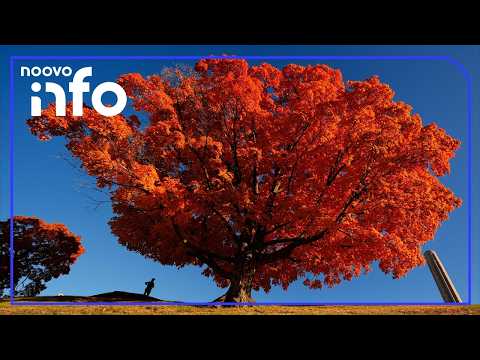 Les couleurs d'automne sont de retour
