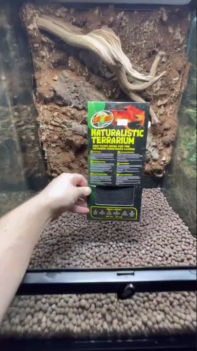 Bioactive Exo Terra #everevolvingexotics  #livingvivarium #bioactive #reptileshop #tucson #arizona