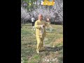 Wu 武 Tai Chi. Zhai Shizong