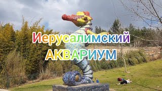 Иерусалимский аквариум (влог)