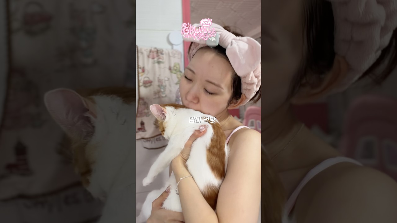 맘마랑 나이트루틴🐱🌙 #ASMR