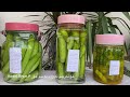 خۆشەكردنی تەرۆزی بە سێ شێواز طریقة بسیطة لتخلیل القثاء Youtube Views Kurdishfood خۆشەكردنی تەرۆزی بە سێ شێواز طریقة بسیطة لتخلیل القثاء Youtube Views Kurdishfood