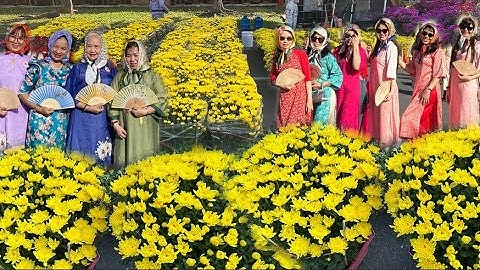 Tết Xuân - Chợ Hoa TẾT Tấp Nập hàng trăm loại cây cảnh hoa kiểng thoải mái tạo dáng chụp ảnh.